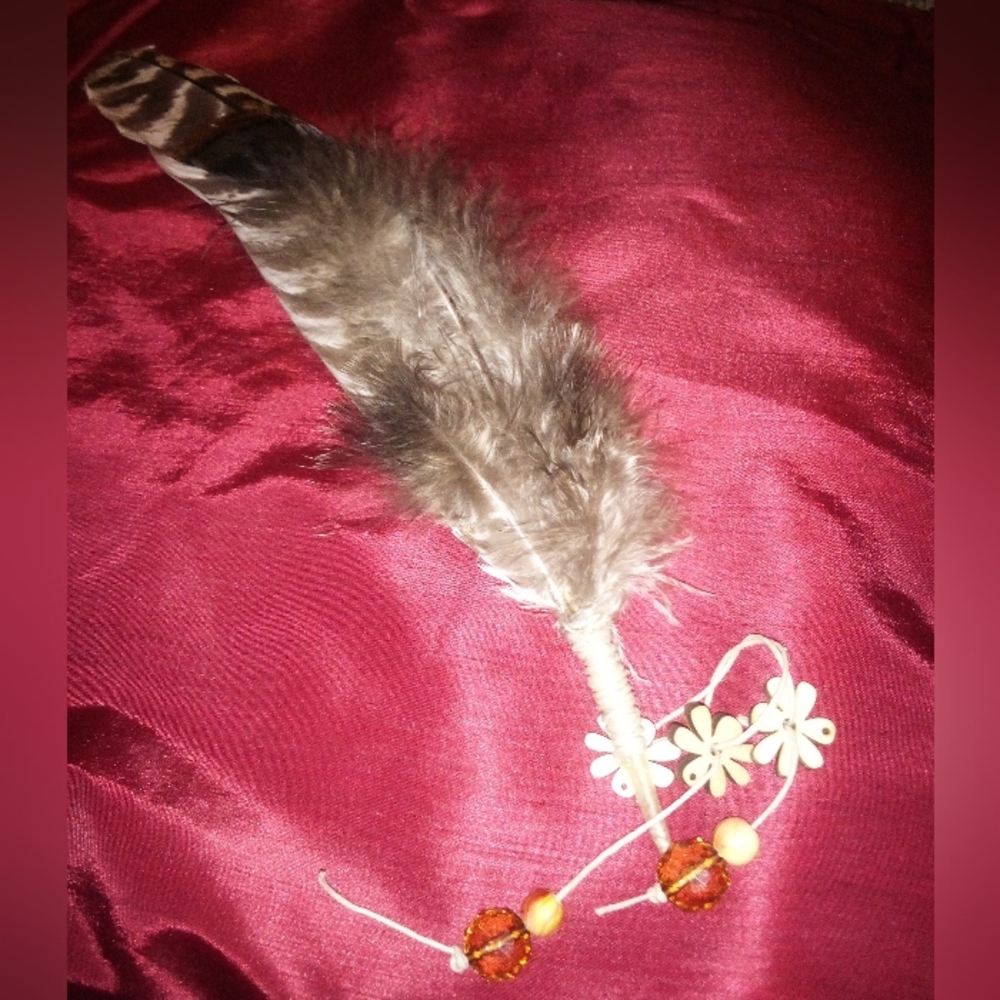 Smudging Feather
